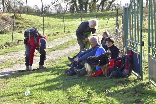 2023 11 Montigny (34)